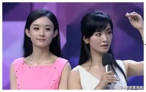 娱乐圈吃瓜爆料小说女主,瓜田里的璀璨星途